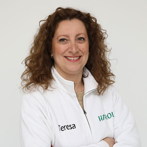 teresa napodano