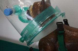 cpap animali