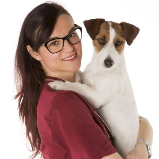 Linda perissinotto