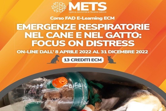 corso-FAD-vet-1.jpg