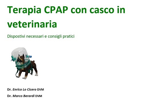 cpap-dog.jpg